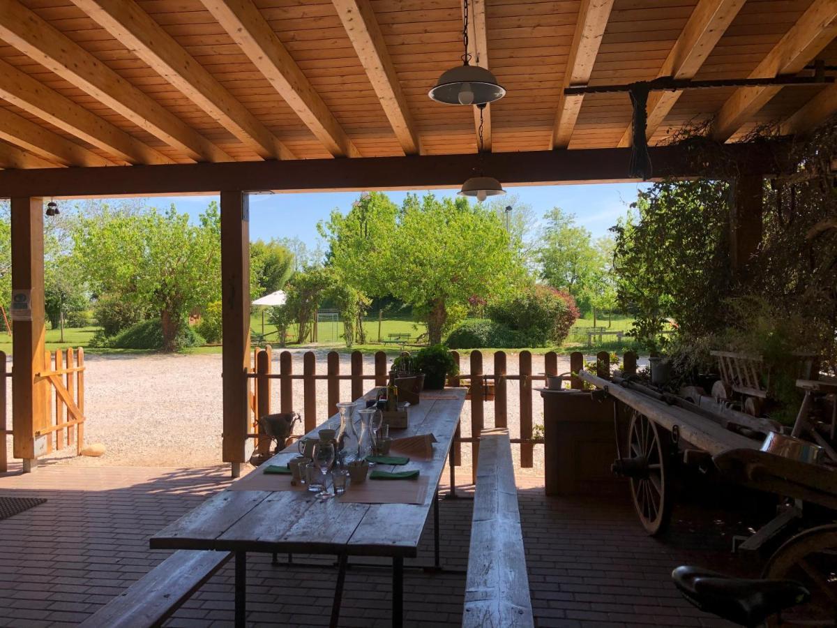 Agriturismo Il Podere Vedelago Con San Bernardo, Alpaca E Una Pentola Di Cose Da Scoprire Екстер'єр фото
