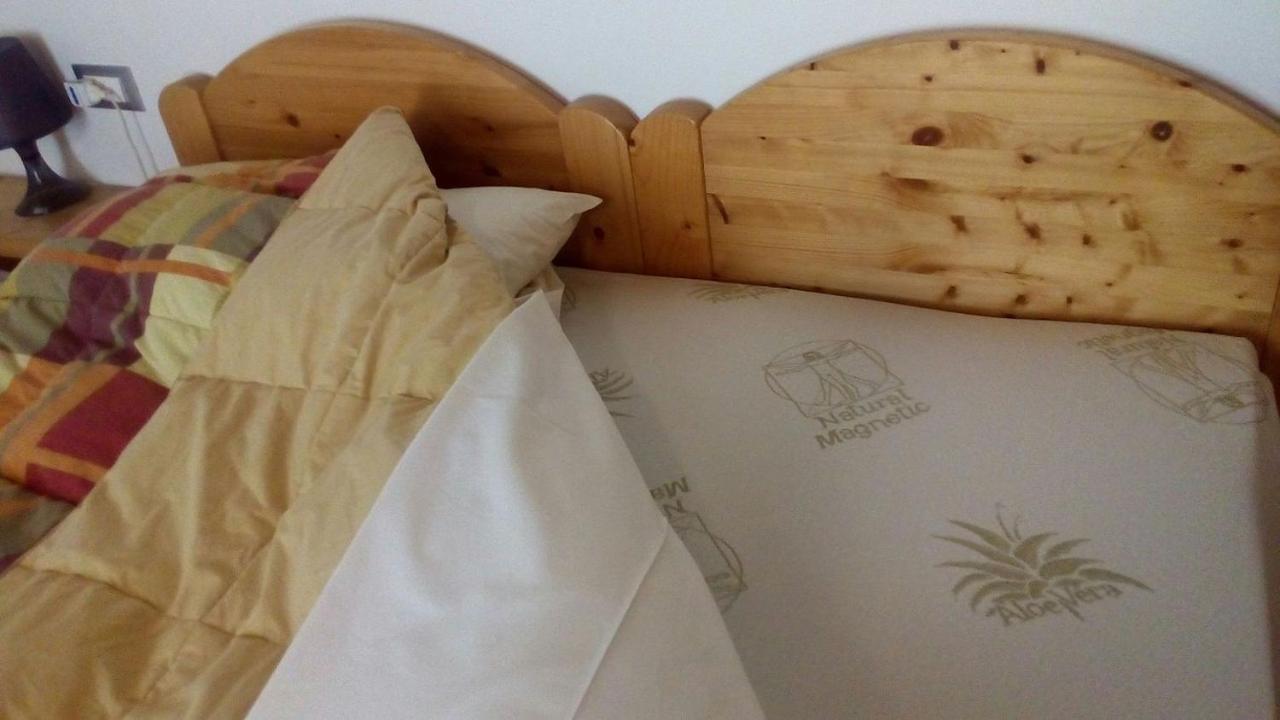 Agriturismo Il Podere Vedelago Con San Bernardo, Alpaca E Una Pentola Di Cose Da Scoprire Екстер'єр фото