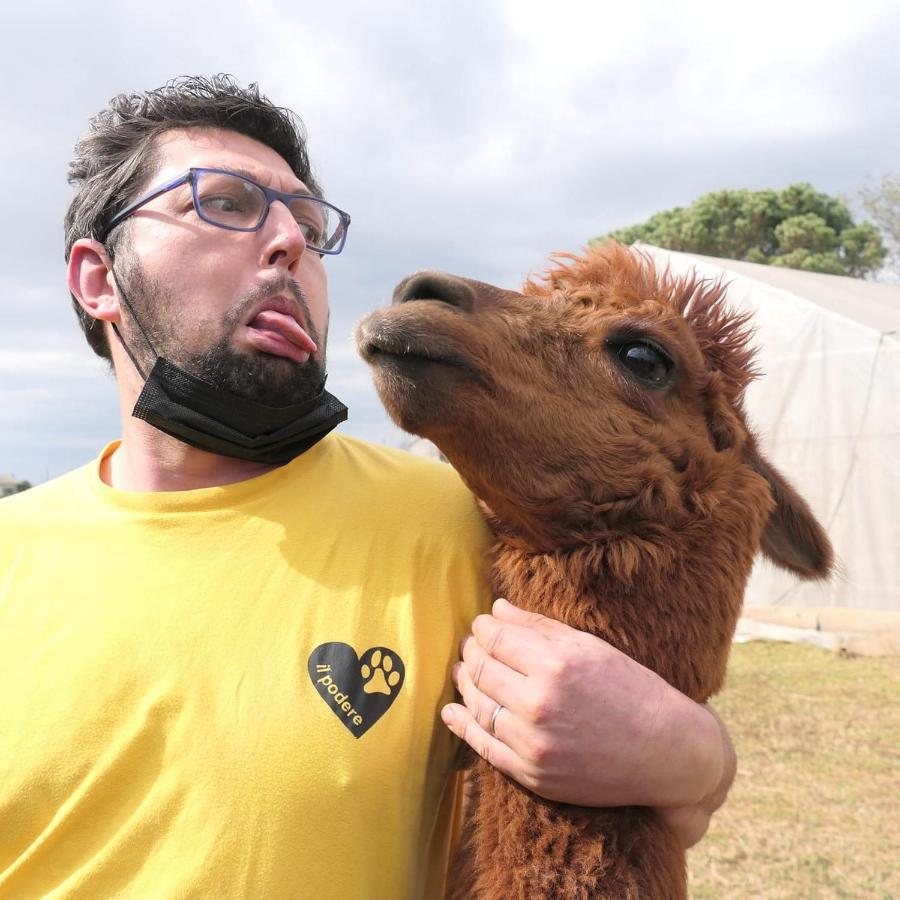 Agriturismo Il Podere Vedelago Con San Bernardo, Alpaca E Una Pentola Di Cose Da Scoprire Екстер'єр фото