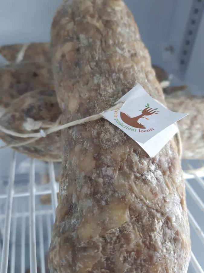 Agriturismo Il Podere Vedelago Con San Bernardo, Alpaca E Una Pentola Di Cose Da Scoprire Екстер'єр фото