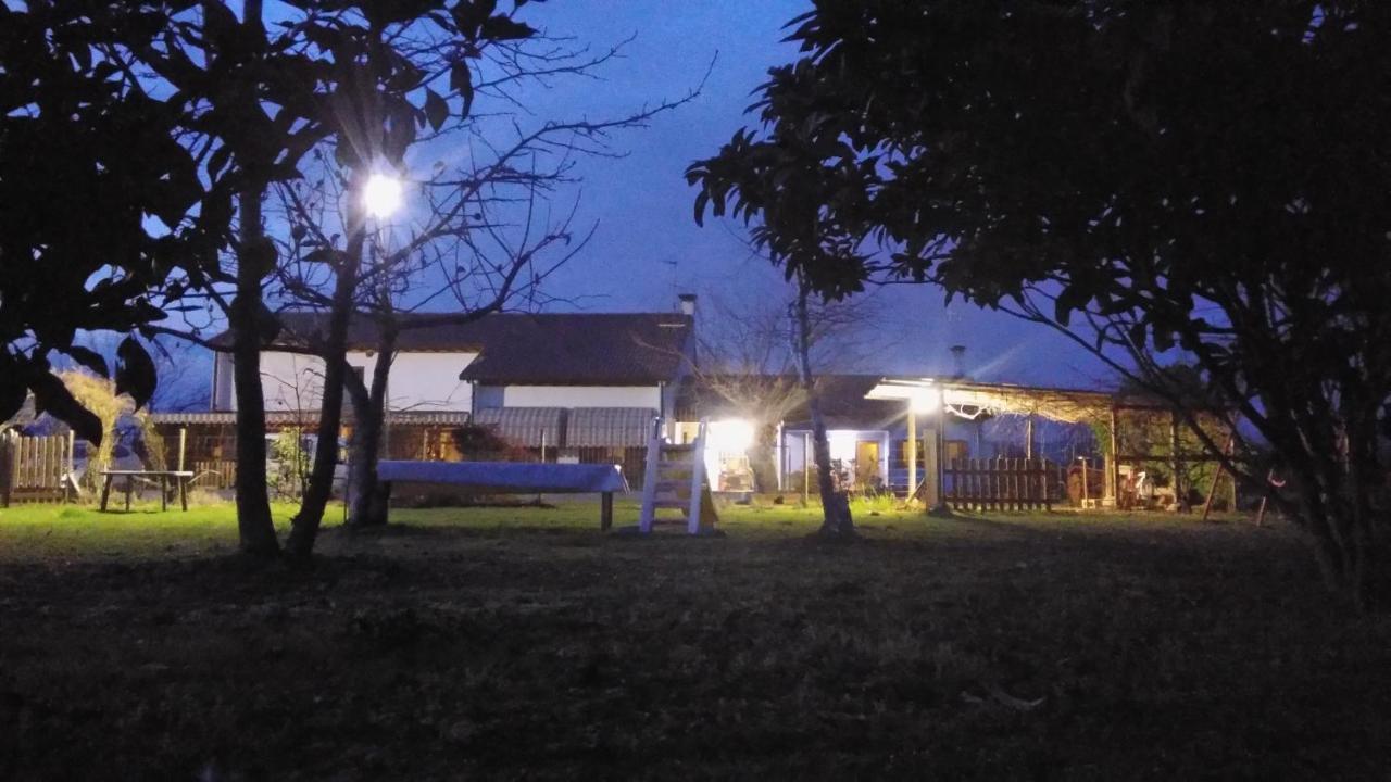 Agriturismo Il Podere Vedelago Con San Bernardo, Alpaca E Una Pentola Di Cose Da Scoprire Екстер'єр фото