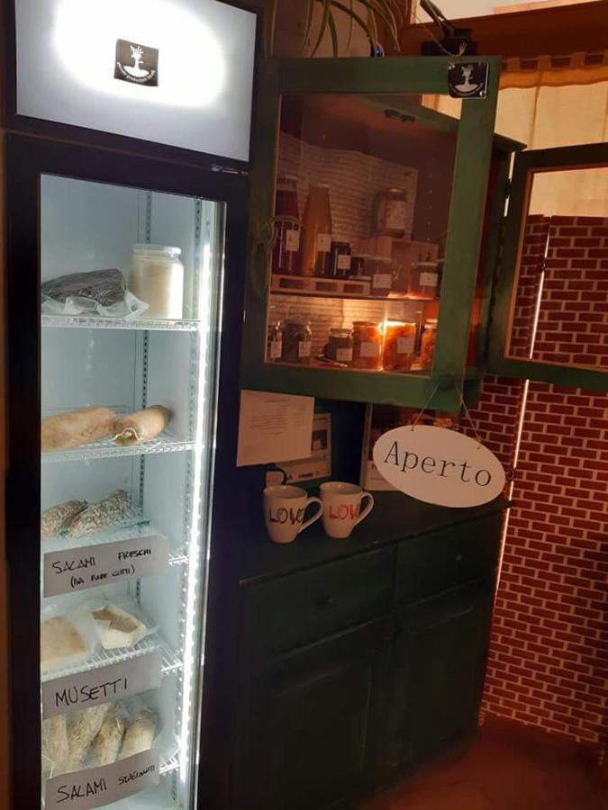 Agriturismo Il Podere Vedelago Con San Bernardo, Alpaca E Una Pentola Di Cose Da Scoprire Екстер'єр фото