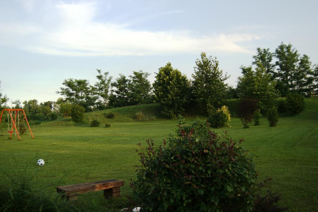 Agriturismo Il Podere Vedelago Con San Bernardo, Alpaca E Una Pentola Di Cose Da Scoprire Екстер'єр фото