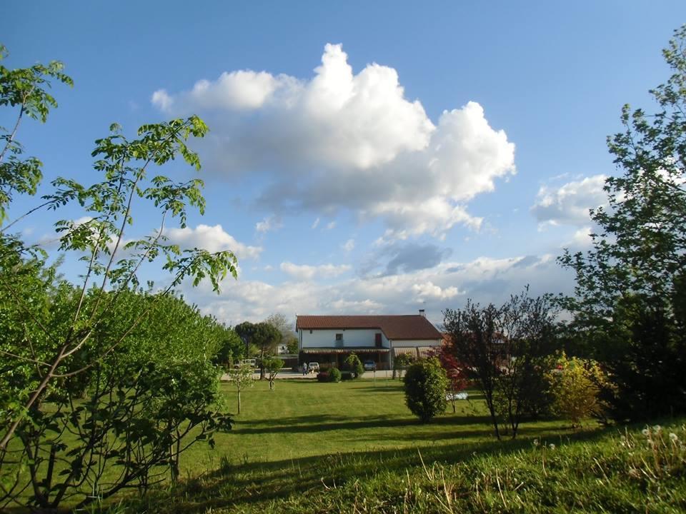 Agriturismo Il Podere Vedelago Con San Bernardo, Alpaca E Una Pentola Di Cose Da Scoprire Екстер'єр фото